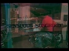 buttersidedown - SwedishErotica - Sensuous Songbird